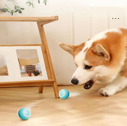 Smart Electric Ball for pets